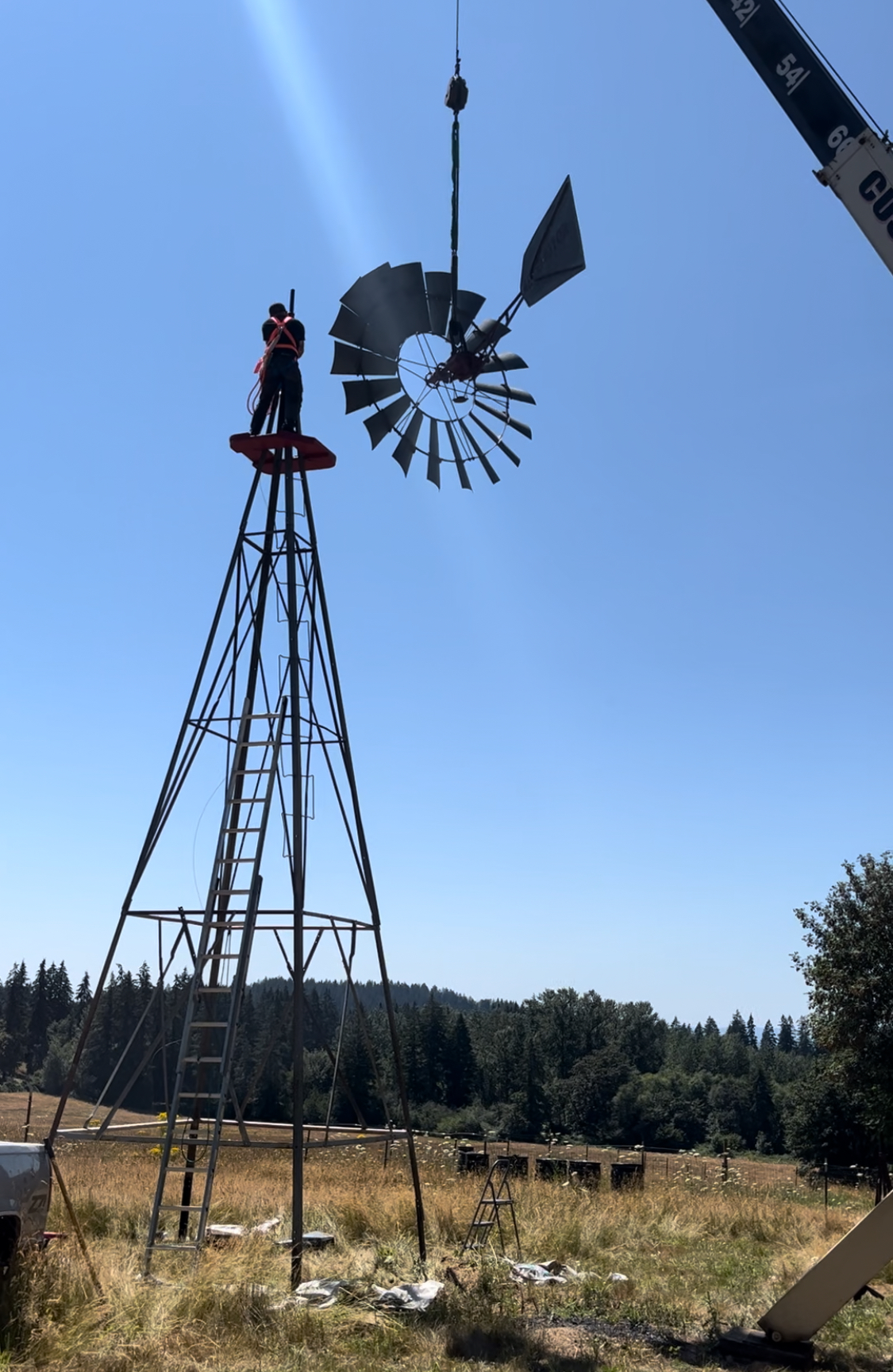 Description of Image 1